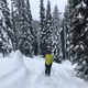 Illustration for article titled 2019-2020 Ski Season in Review